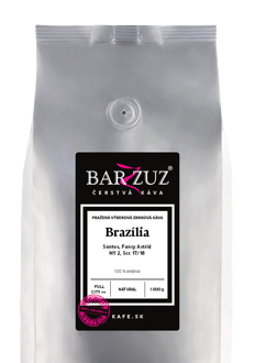 káva Barzzuz Brazília SANTOS  Fancy Astrid, NY2 screen 17/18